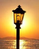 Lamplighter
