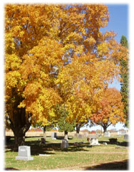 Immanuel Lutheran Cemetery